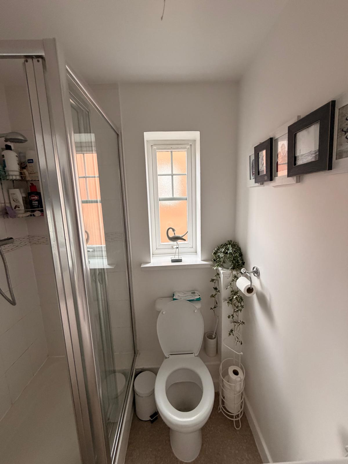 shower room white newcastle